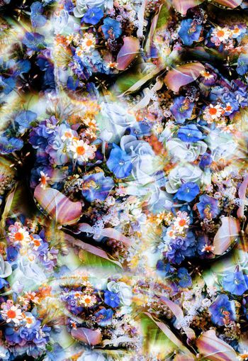 279922-多彩花卉花朵组合