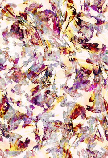 279926-多彩水彩效果花卉花朵组合