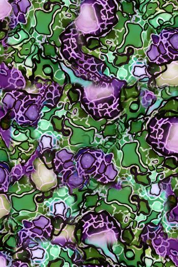 280056-复件 (2) wj56