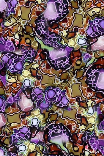 280062-复件 (2) wj56