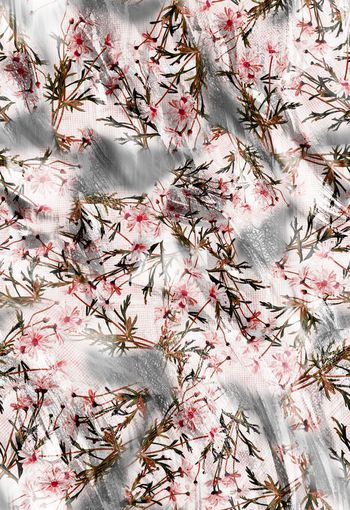 280236-清新雏菊花卉组合