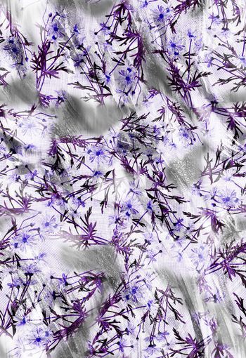 280237-清新雏菊花卉组合