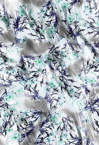 280238-清新雏菊花卉组合