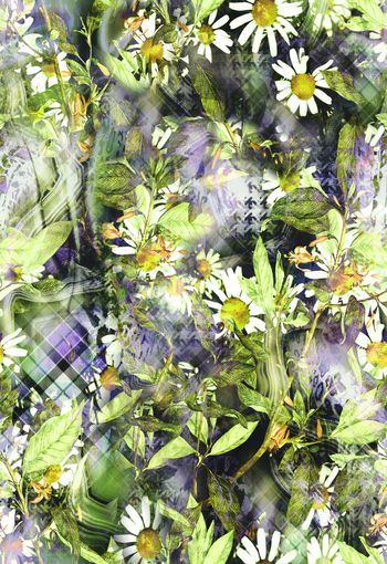 280240-花卉雏菊格纹组合