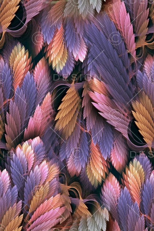 羽毛印花华亿平台图片