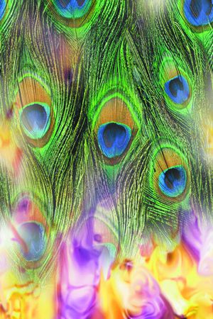 动物、花鸟、皮毛类印花华亿平台图片