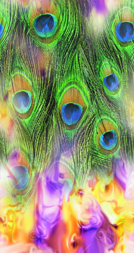 动物、花鸟、皮毛类印花华亿平台图片