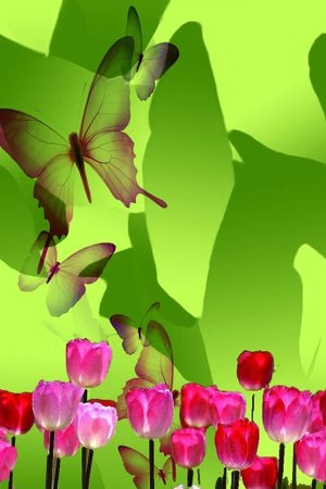 动物、花鸟、皮毛类印花华亿平台图片