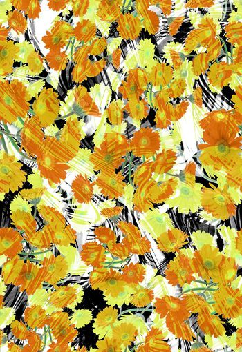 280376-多彩菊花花卉花朵组合