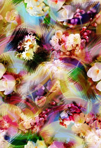 280427-多彩花卉花朵组合