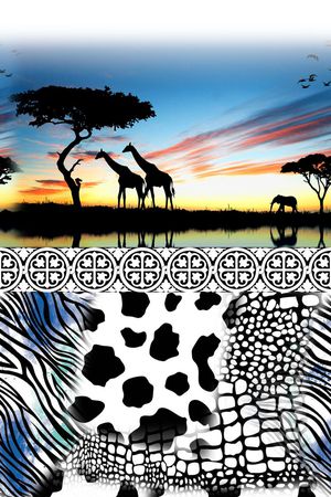 非洲印花华亿平台图片