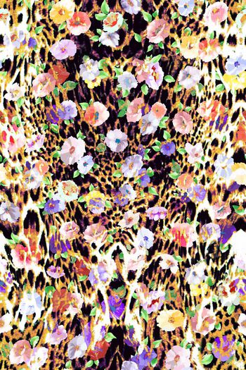 280477-虎纹豹纹花卉