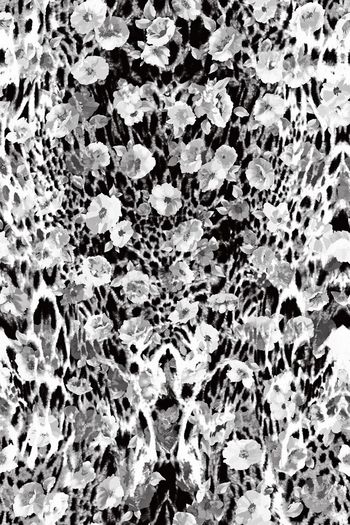 280479-虎纹豹纹花卉