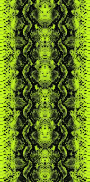 280810-白色蛇纹-3