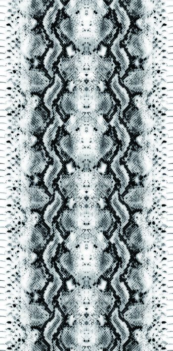 280811-白色蛇纹-3