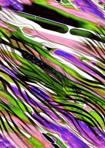 280819-协条 节奏感 遗失的美好 色彩斑斓