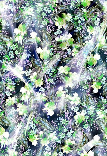 280898-多彩花卉腰果佩斯利组合