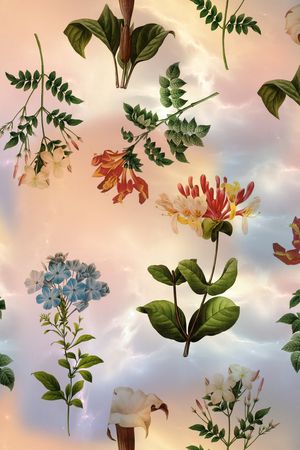 ♥红桃A〖花鸟天堂〗印花华亿平台图片