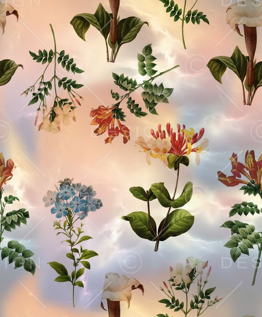 ♥红桃A〖花鸟天堂〗印花华亿平台图片