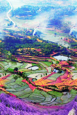 风景印花华亿平台图片