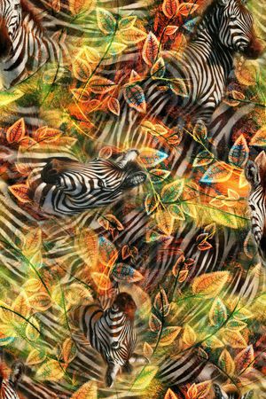 斑马纹印花华亿平台图片