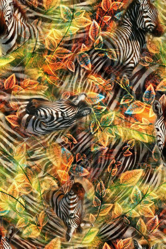 斑马纹印花华亿平台图片