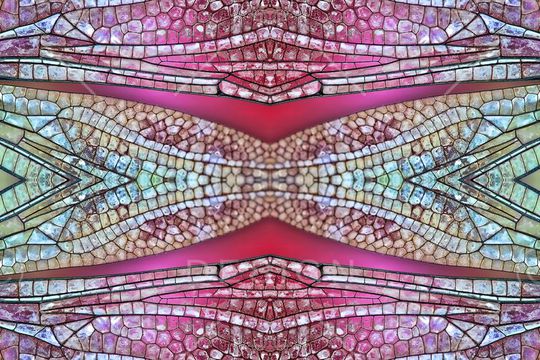 ♥红桃A〖豹纹纹理〗印花华亿平台图片