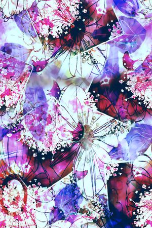 蝴蝶印花华亿平台图片