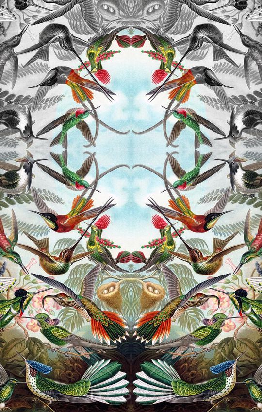 复古定位鸟印花华亿平台图片