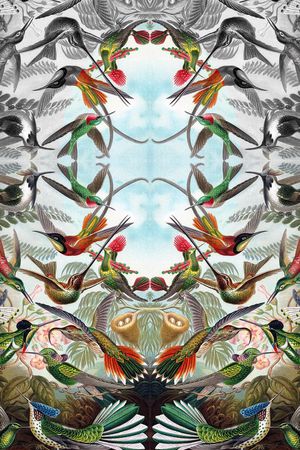 复古定位鸟印花华亿平台图片