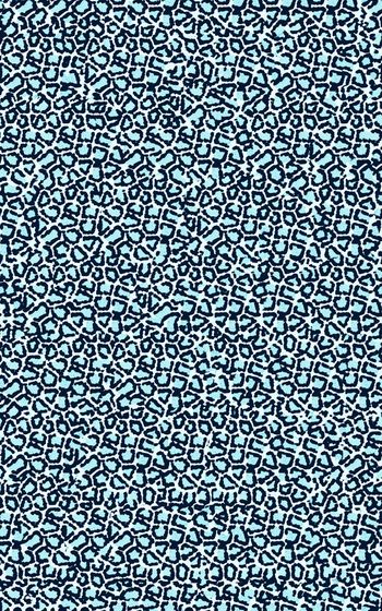 281332-豹纹图案-006