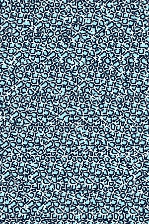 豹纹印花华亿平台图片