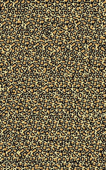 281333-豹纹图案-006