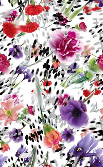 281336-清新写实花卉花朵波点组合