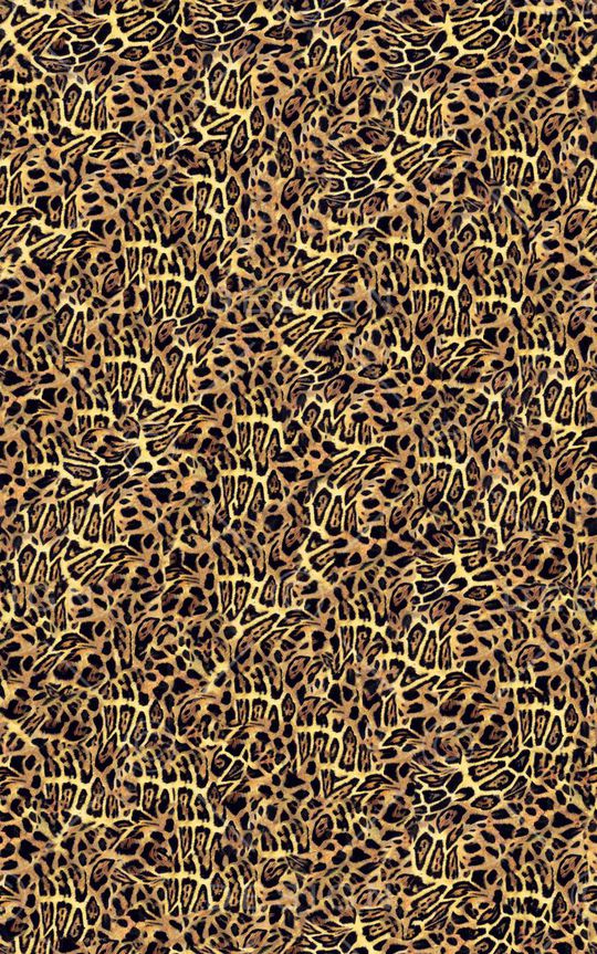 豹纹印花华亿平台图片