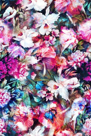 281365-花园中的蝴蝶