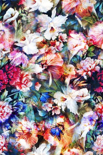 281366-花园中的蝴蝶