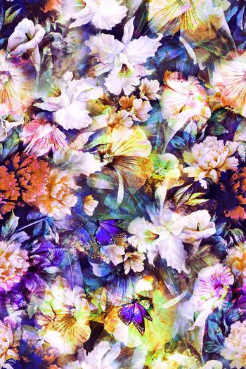 281367-花园中的蝴蝶