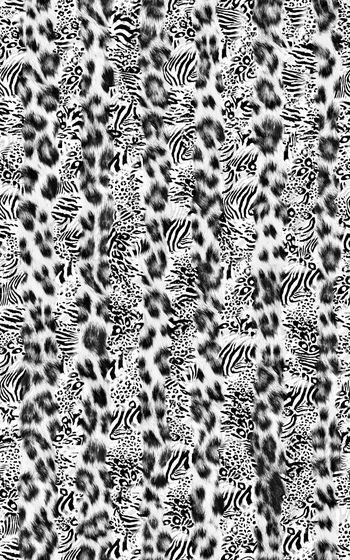 281383-条纹豹纹图案