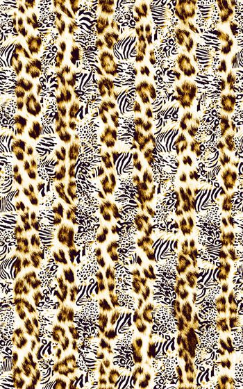 281384-条纹豹纹图案