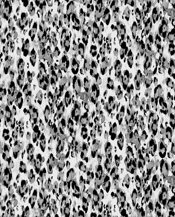 281424-花斑豹纹猫科纹理