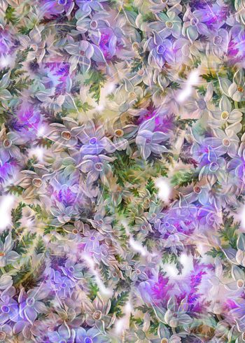 281474-多彩花卉花朵组合