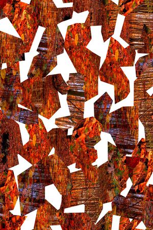 迷彩印花华亿平台图片