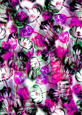 281542-多彩花卉花朵组合