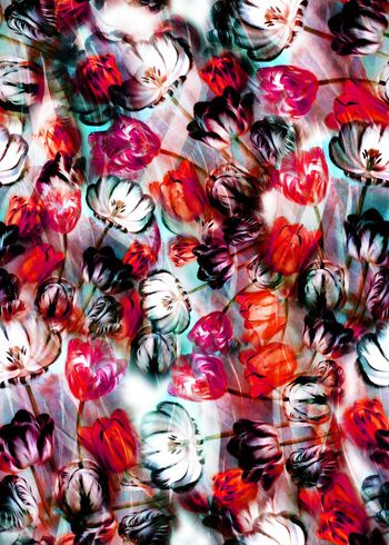 281543-多彩花卉花朵组合