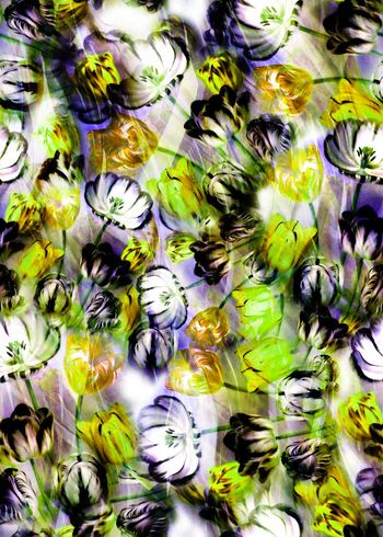 281544-多彩花卉花朵组合