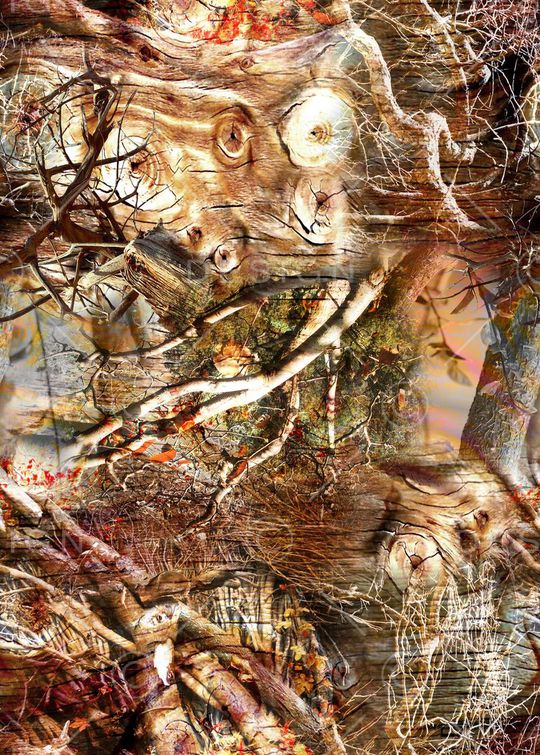 枯枝印花华亿平台图片