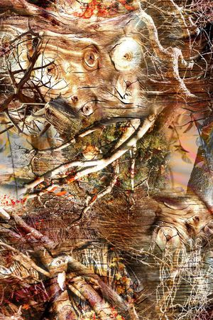 枯枝印花华亿平台图片