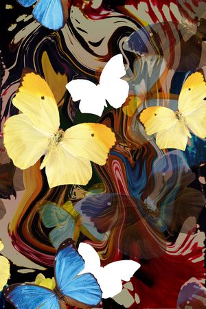 蝴蝶印花华亿平台图片