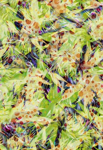 281802-WT234植物天堂鸟乱花花卉波点圆